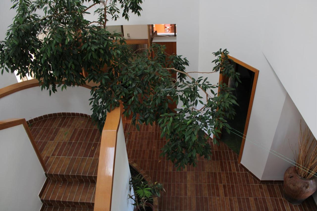 Villa De L'Ebre Deltebre Eksteriør billede